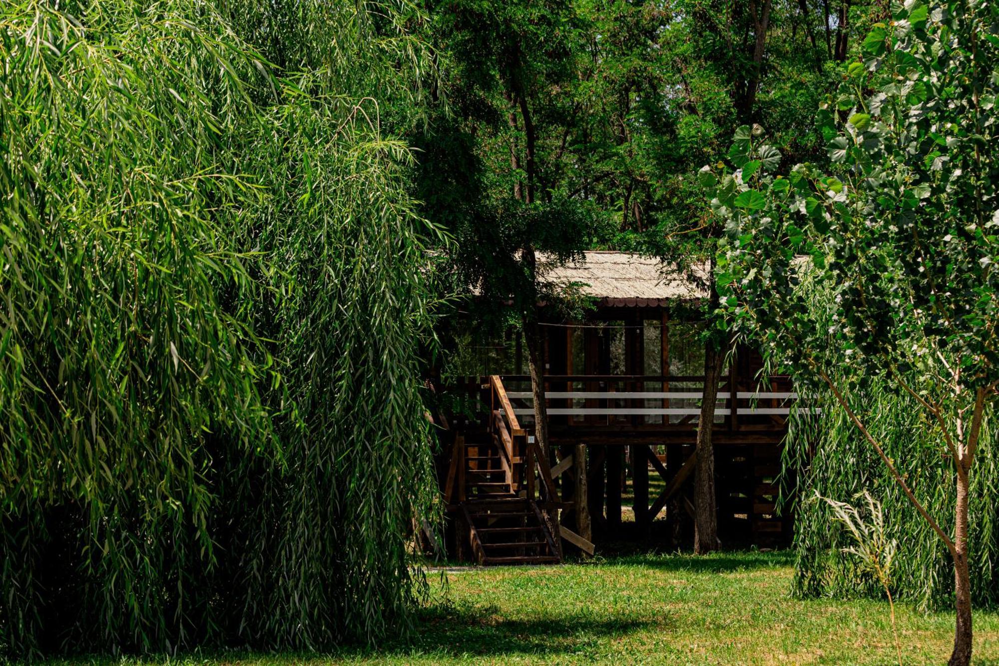 Zaga Zaga Sat Hotel Tecuci Exterior foto